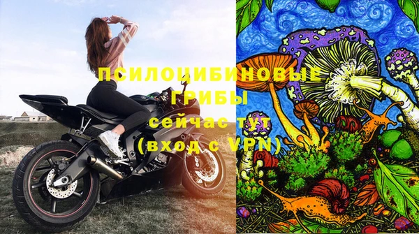 a pvp Магадан