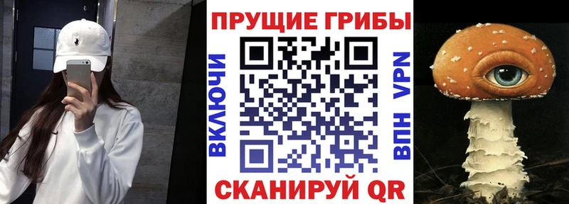 Псилоцибиновые грибы Cubensis  Нижний Новгород 