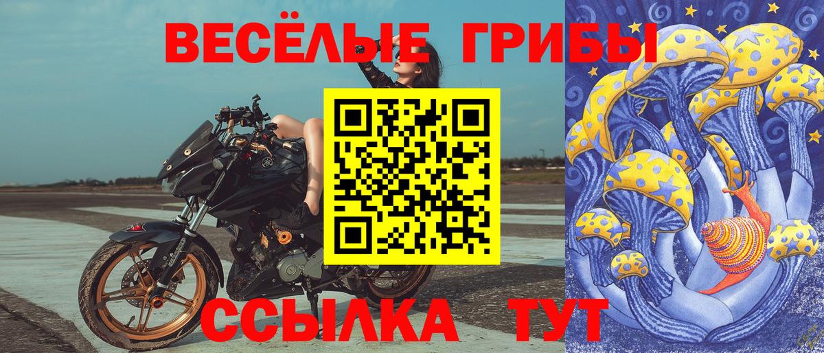 Псилоцибиновые грибы мухоморы  Псилоцибиновые грибы мицелий  Нижний Новгород  Вход с VPN 